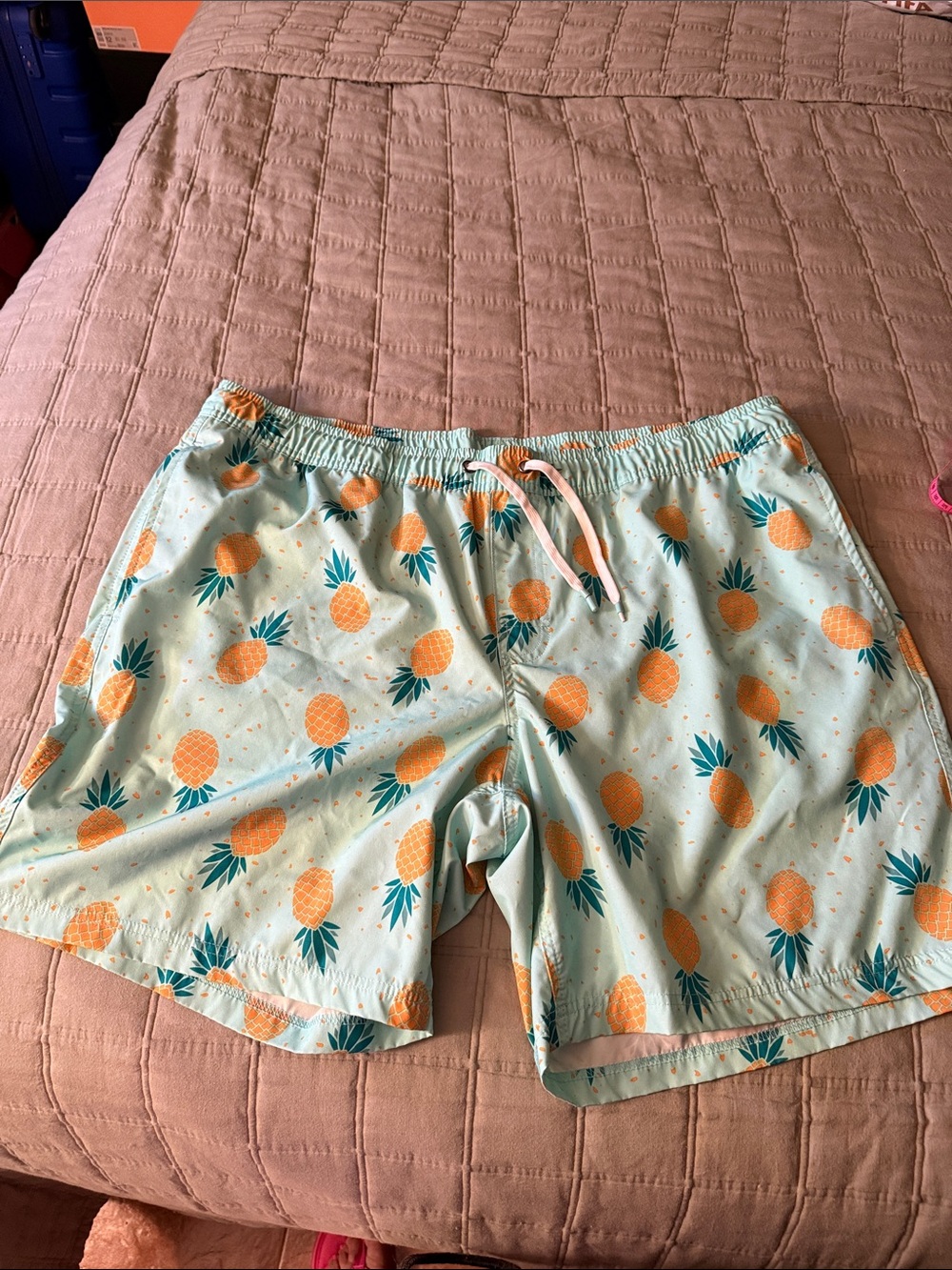 Men's Light Aqua Pineapple Print Swim Trunks